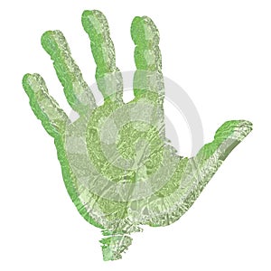Green hand print