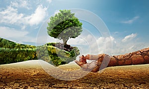 Green hands holding tree growing and dry soil hand on crack earth