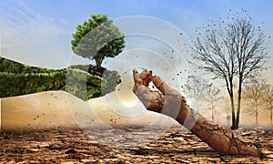 Green hands holding tree growing and dry soil hand on crack earth. Saving environment and natural conservation concept