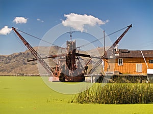 Green harbor. Puno. Peru