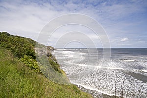 Green headland in summer seascape