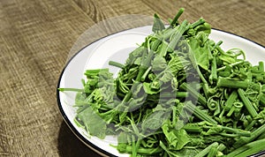 green and healthy food : gracilaria