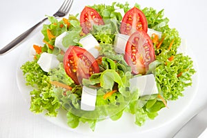 A green healthy salad