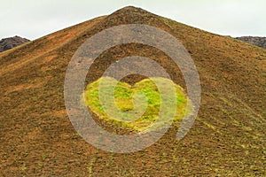 Green heart on the mountian