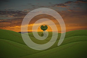 Green heart shaped tree