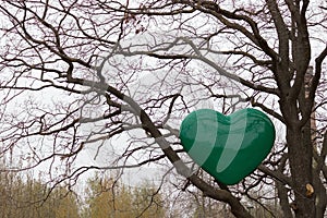 Green heart on a tree