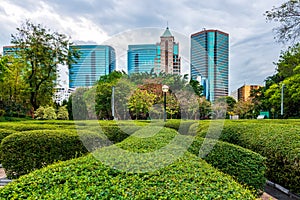 Green hedges at Kowloon Park with skyscrapers in background