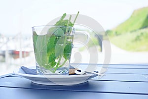 Green herbal tea with fresh mint leaves