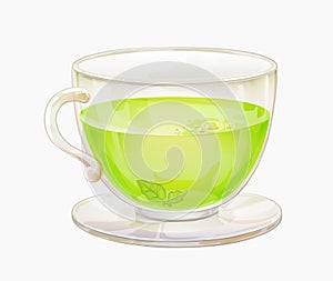 Green or herbal tea in glass cup on saucer isolated. Realistic mug
