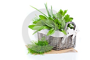 Green herbs in braided basket