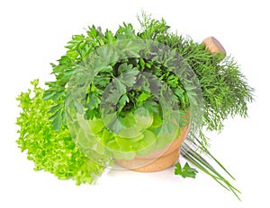 Green herbs in a pounder on white photo