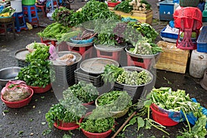 Green herbs and salads for sale on street market