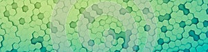 green hexagon background