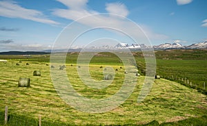 Green hey stack on field in Iceland