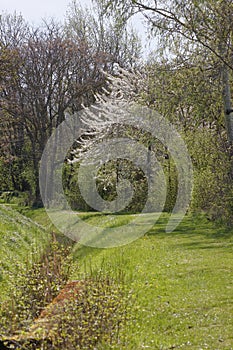 A green hiking trail along a stream in Lower Austria\'s Weinviertel in spring