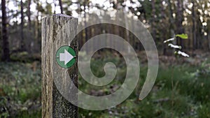 Green hiking trail marker pointing the direction in the woods