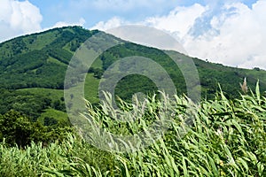 Green hill against blue sky with clouds.