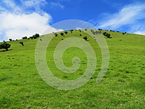 Green Hill with Blue Sky