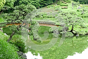 Green hill, bridge, lake in Japanese zen garden