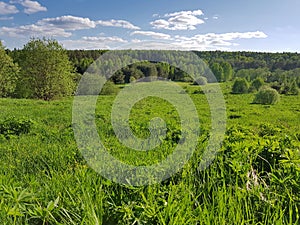 Green hill with horizon view and blue sky.