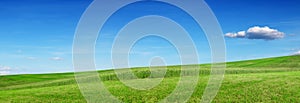 Green hill and meadow, blue sky. Ecology banner