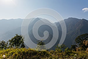 Green hill near Kangchenjunga mountain with clouds above and trees that view in the evening in North Sikkim, India