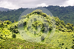 Green hill overgrown with a lush tropical emerald rainforest near Fijian Savusavu town, Vanua Levu Island,Fiji, Melanesia, Oceania