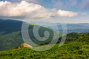 Green hill of polonina Runa in summer