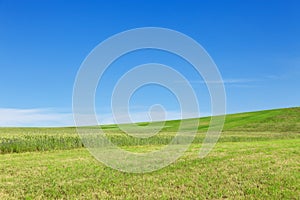 Green hill under blue sky. Ecology banner