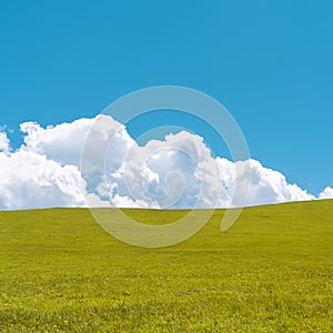 Green hill and white fluffy cloud over it