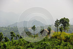 Green Hills at Bandarban