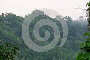 The green hills are covered in fog. Mist covered mountains in winter morning. Photo taken from Chittagong, Bandarban, Bangladesh