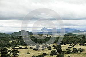 Green Hills landscape