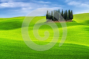 Green Hills Landscape of Tuscany, Italy