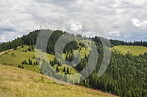 Green hills, meadows and forest. panorama of Carpathians, rolling landscape. Ukraine