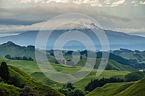 Green Hills and Mount Ruapehu photo