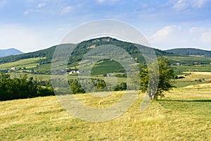 Green hills near Sarospatak in Hungary Tokaj region