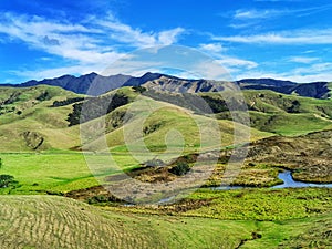 Green Hills at Port Jackson. Coromandel. New Zealand