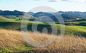 Green Hills of Sonoma County