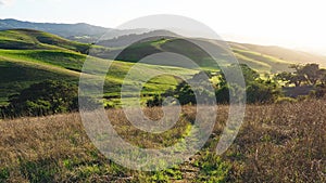 Green Hills of Sonoma County