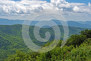 Green Hills on a Sunny Mountain Summer Day