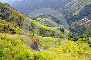 Green hills of tea country, Sri Lanka