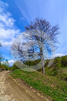 Green hills traditional landscape over cloudy sky on background. Hikers paradise in the countryside Romania.