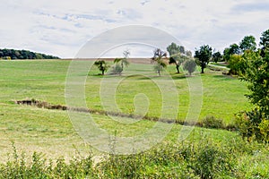 Green landscape in Niederstetten, along route called Romantische Strasse, Germany