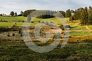 Green hills and trees at the East Belgian countryside