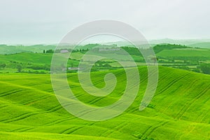 Green hills of Tuscany