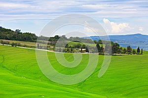 Green hills of Tuscany