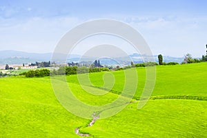 Green hills of Tuscany