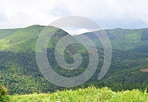 Green Hills - Western Ghats - Landscape in Kerala, India