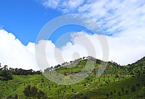 Green Hills with White Clouds in Blue Sky - Natural Landscape in Munnar, Kerala, India